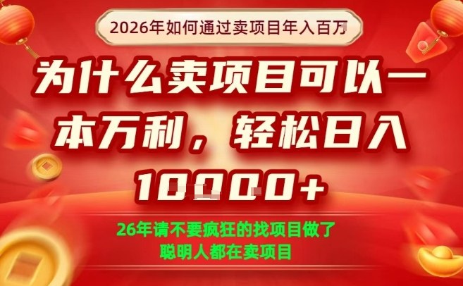 一单净利润1K+,26年想年入100个W,死磕卖项目就够了【揭秘】-长青创习社